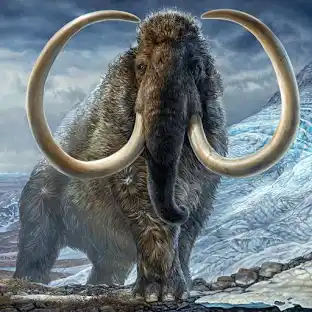 where are the Woolly mammoth now?