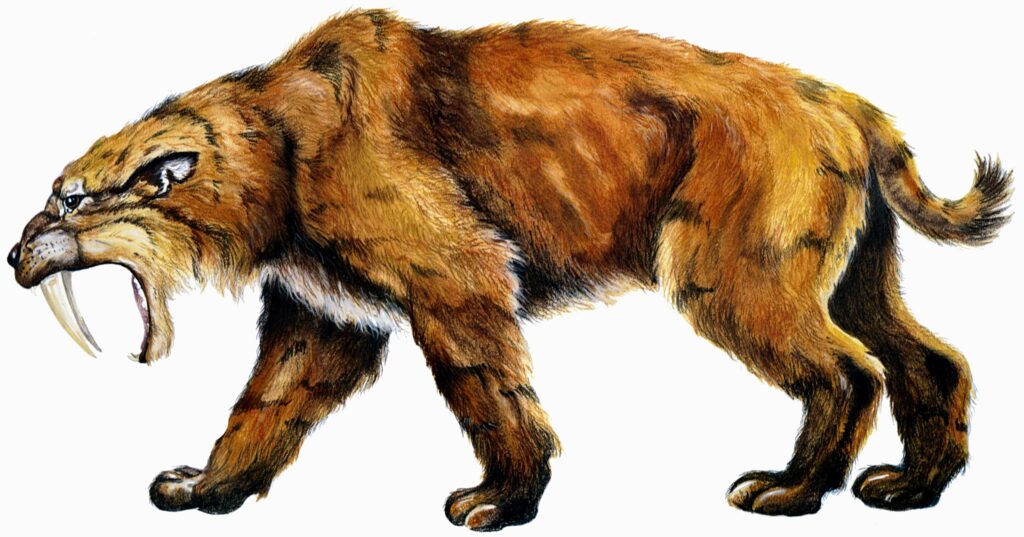 sabre-toothed cat
